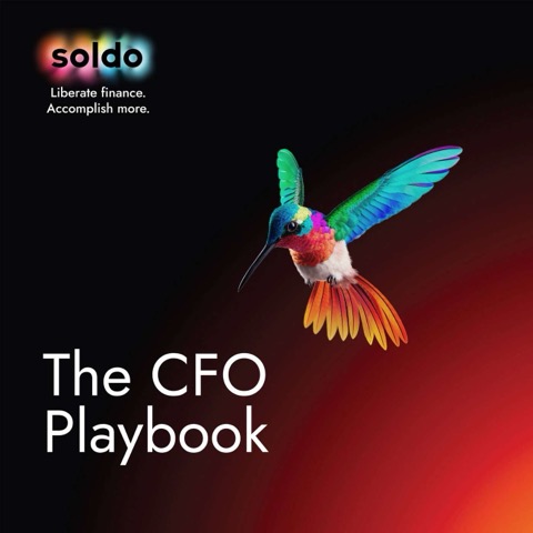 Cfo Playbook artwork