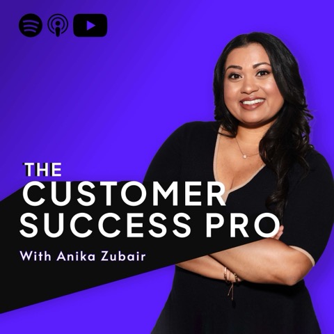 The Customer Success Pro artwork