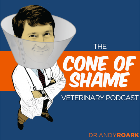 The Cone of Shame Veterinary Podcast artwork