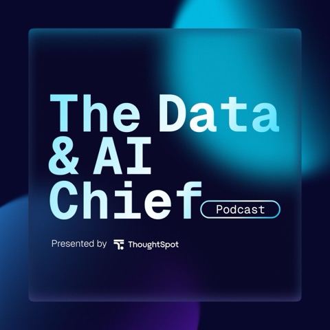 The Data Chief artwork